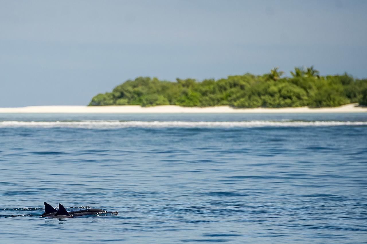 Detour Beach View Hangnaameedhoo Ngoại thất bức ảnh