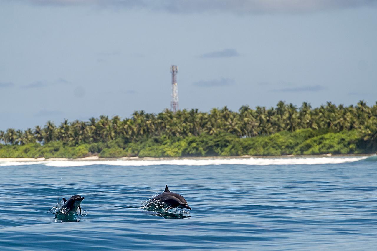 Detour Beach View Hangnaameedhoo Ngoại thất bức ảnh